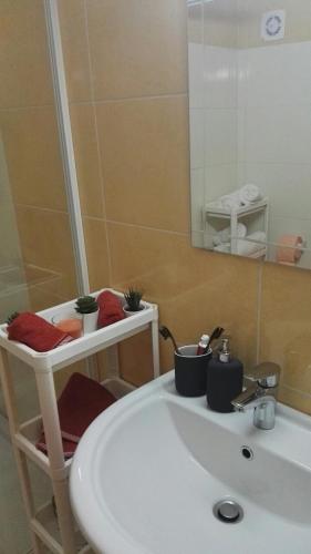 a bathroom with a sink and a mirror at GOski Apartman Brzeće Kopaonik in Brzeće