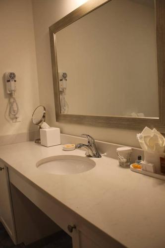 a bathroom counter with a sink and a mirror at Norwalk Inn & Conference Center in Norwalk