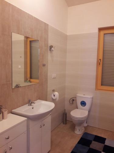 a bathroom with a sink and a toilet and a mirror at Słonecznikowa Zagroda in Debina