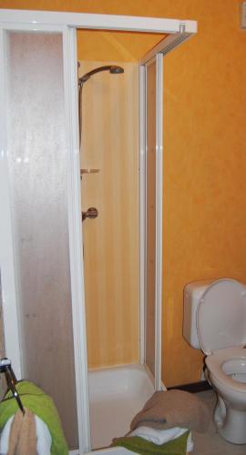 a bathroom with a shower and a toilet at Hotel Beco in Banneux