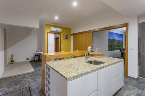 een keuken met een spoelbak en een aanrechtblad bij Feel Discovery Douro LAS House in Peso da Régua