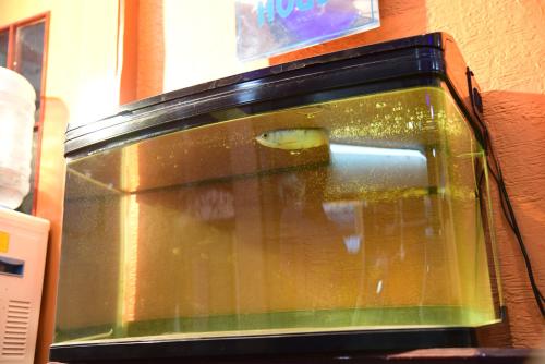 Gallery image of Perfect Guest House in Chennai