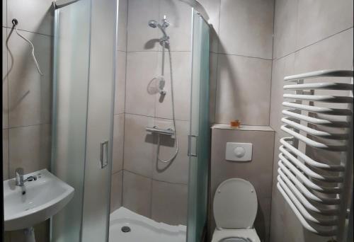 a bathroom with a shower and a toilet and a sink at Dom Goscinny Skarpa in Krynica Zdrój