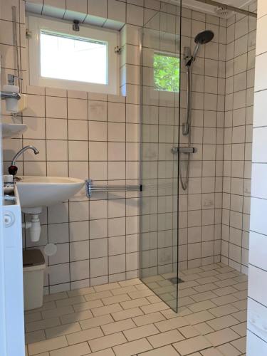 a bathroom with a shower and a sink at Vakantiewoning aan het Veerse meer in Wolphaartsdijk