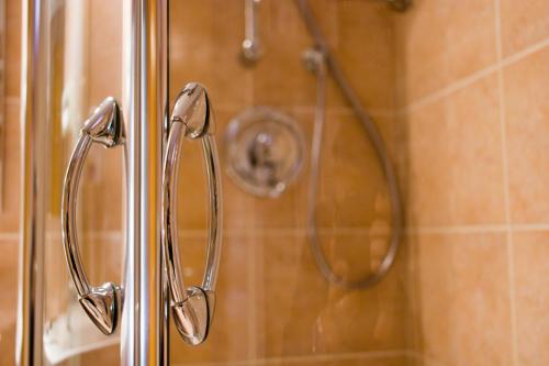 a shower with a shower head in a bathroom at Style Hotel Grifone in Madonna di Campiglio