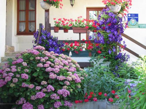 a bunch of flowers in front of a building at Le clos de la perdrix in Bellenot-sous-Pouilly