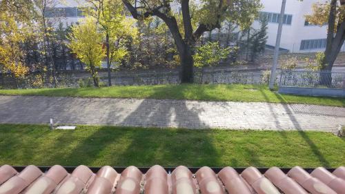 a view of a park with a tree and grass at Rinaldi House in Torriana