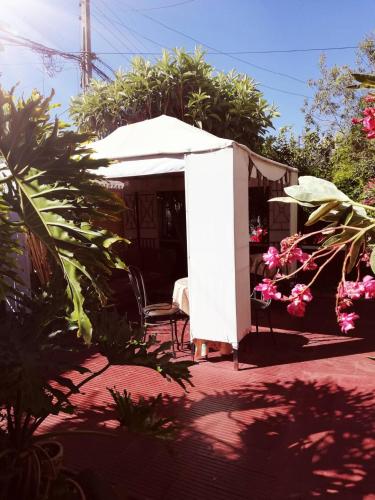Fotografie z fotogalerie ubytování Hostal Casona de Chorrillos v destinaci Viña del Mar