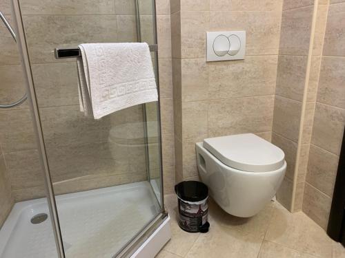 ein Badezimmer mit Toilette und Glasdusche in der Unterkunft Karina Apartment in Budva