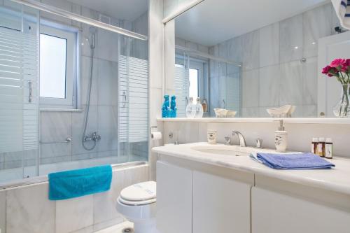 a bathroom with a sink and a toilet and a shower at Alexander's Penthouse in Athens