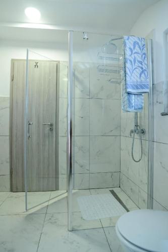 a shower with a glass door in a bathroom at Apartment Olive in Jovići
