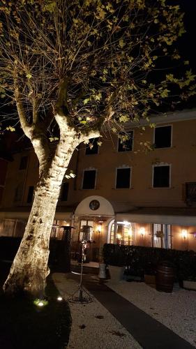 a large tree in front of a building at night at Ristorante Albergo Corona in Novi Ligure
