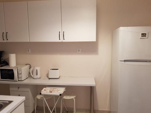a kitchen with a counter with a microwave and a refrigerator at Homely Stay @Acropolis Museum in Athens