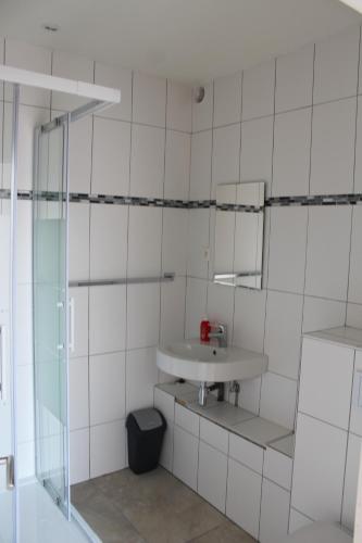 a bathroom with a sink and a mirror at Logie Rotem in Dilsen-Stokkem