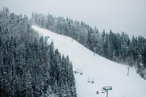 Chalet TwoSeasons Bukovel зимой