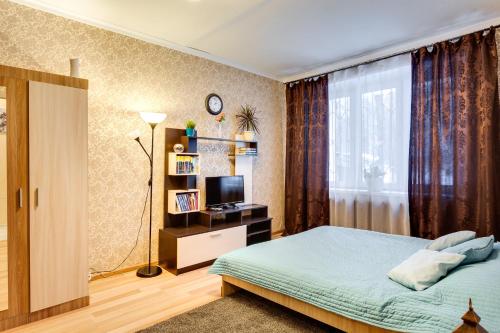 モスクワにあるApartaments on Vernadskiy prospektのベッドルーム(ベッド1台、テレビ、窓付)