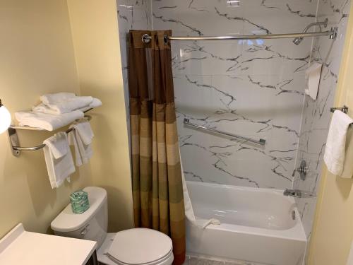 a bathroom with a shower and a toilet at Four Winds Country Motel in Manchester