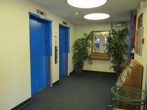a hallway with blue doors and plants and a mirror at Royal Pacific Motor Inn in San Francisco