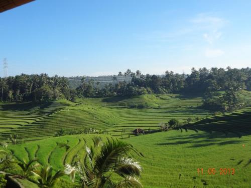 a view of a green field with trees at Cempaka Belimbing Villa in Blimbing