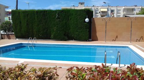 ein großer blauer Pool neben einer Hecke in der Unterkunft Optimist in Cambrils