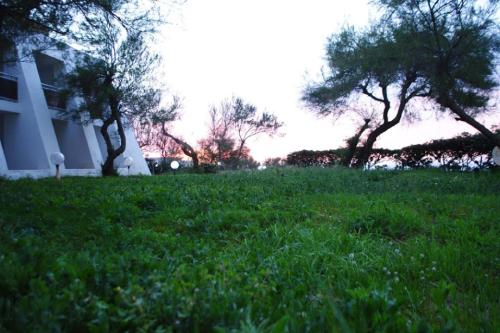 a field of green grass with trees and a building at Hotel Mazafran in Zeralda