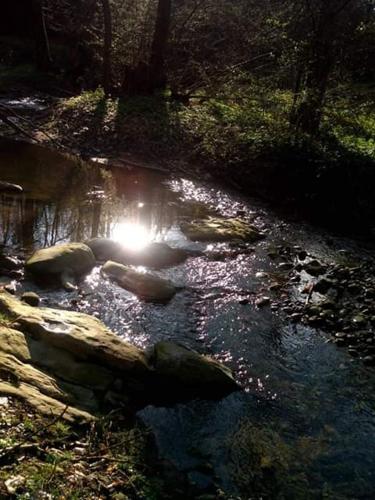a stream of water with a light in the middle at Kuća za odmor"Miran san" in Podgorić