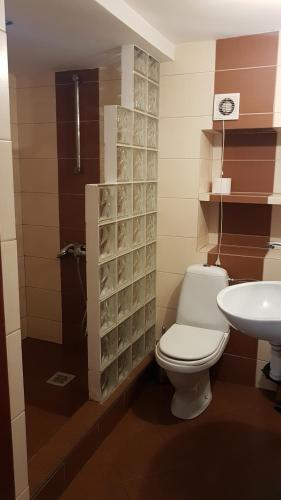 Koupelna v ubytování Aspen