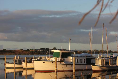 a group of boats are docked in the water at Boathouse - Birks River Retreat in Goolwa