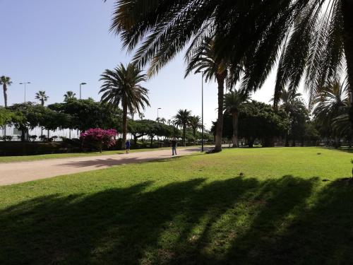 Apartamento La Marina-Ciudad Jardin