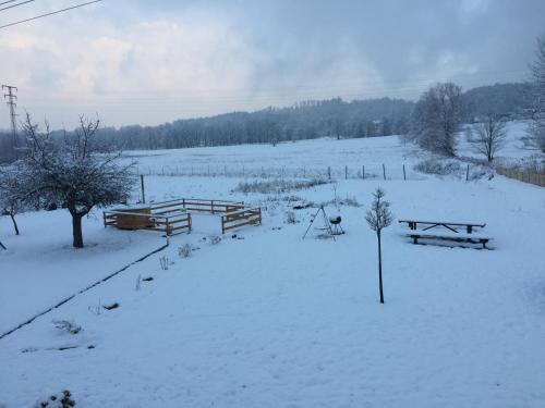 a field covered in snow with benches and trees at Sarnia Polana in Kostrzyca