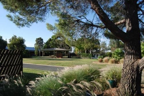 a park with a tree and a gazebo at Sportslander Motor Inn in Moama