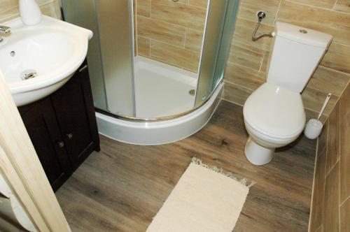 a bathroom with a toilet and a shower and a sink at Willa Pod Stokiem in Witów