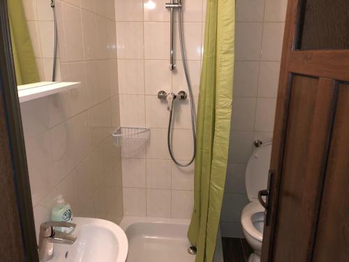 a bathroom with a shower and a sink and a toilet at Pension Haus Rohrmoser in Annaberg im Lammertal