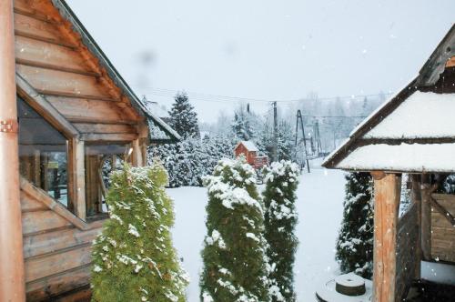 a log cabin with snow covered trees in the yard at Willa Pod Stokiem in Witów