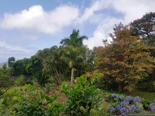 a garden with flowers and trees in the background at Rocky Ridge Farm Cottage in Port Edward