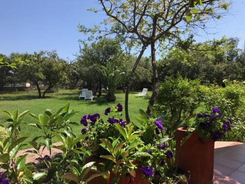 a garden with purple flowers and chairs in a park at Hotel Onda Marina in San Teodoro