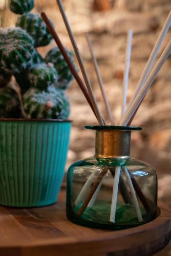 a glass bottle with sticks in it next to a plant at OFFICINE CAVOUR Piazza Cavour in Padova