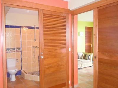 Habitación con baño con ducha y aseo. en T2 D'ALICE SAINTE ANNE CENTRE, en Sainte-Anne