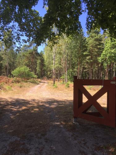 Galeriebild der Unterkunft Sandhammaren ,skåne in Löderup