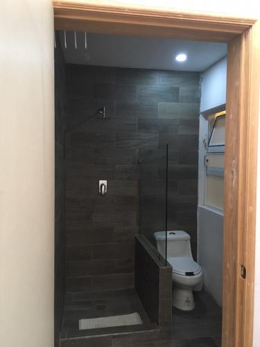 a bathroom with a toilet and a walk in shower at Carcamanes 17 Gastro-Hotel in Guanajuato