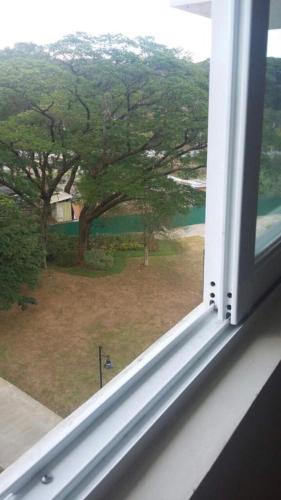 Příroda nedaleko hotelu