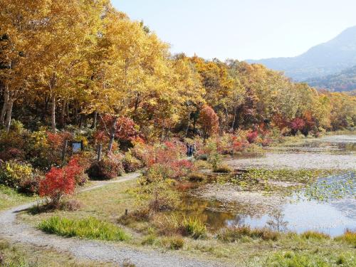 Φυσικό τοπίο κοντά σε αυτό το ryokan