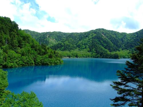 Φυσικό τοπίο κοντά σε αυτό το ryokan