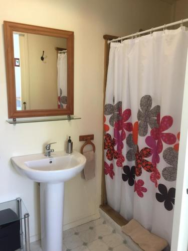 a bathroom with a sink and a shower curtain with butterflies at Mountainview Makarora Accommodation in Makarora