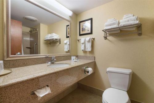 ein Badezimmer mit einem WC, einem Waschbecken und einem Spiegel in der Unterkunft Comfort Suites Near Gettysburg Battlefield Visitor Center in Gettysburg