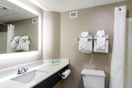 A bathroom at Clarion Inn Willow River