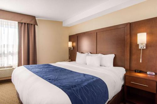 a hotel room with a large bed and a window at Comfort Inn & Suites in Medicine Hat