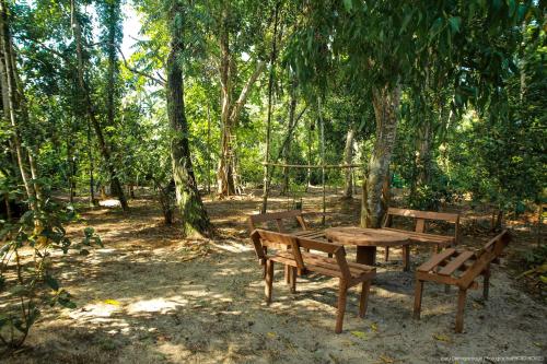 Zahrada ubytování Jungle Paradise