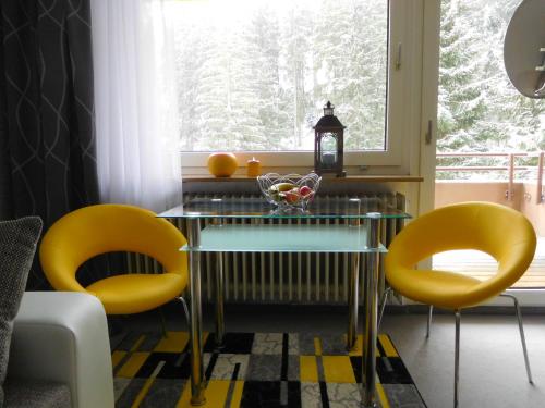 Afbeelding uit fotogalerij van Ferienwohnung Schwarzwaldrauschen in Schönwald