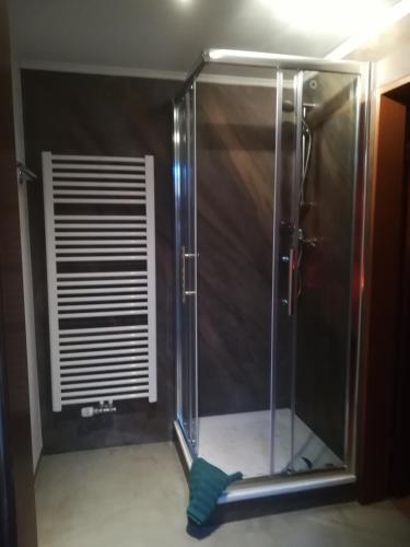 a shower with a glass door in a bathroom at Landhaus Irma in Bad Füssing
